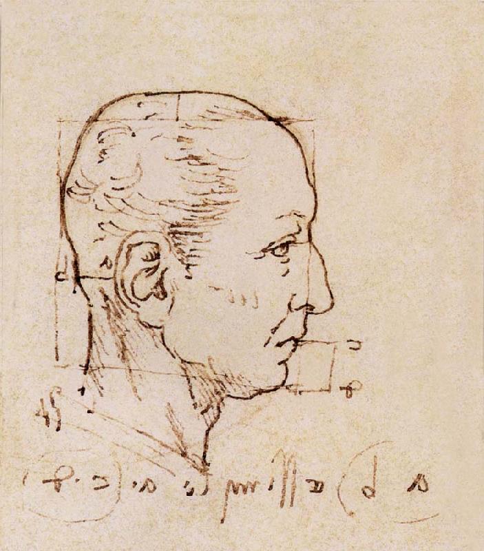 LEONARDO da Vinci Study of the proportion of the head France oil painting art